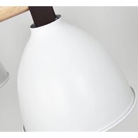 Люстра средней высоты ImperiumLoft Flan01 101588-26