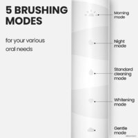 Электрическая зубная щетка Oclean Flow Sonic Electric Toothbrush (белый)