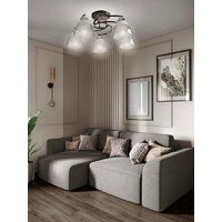 Припотолочная люстра Aitin Pro НПБ 02-5x60-101 8245/5 (черный/хром)