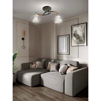 Припотолочная люстра Aitin Pro НПБ 02-2x60-101 8245/2 (черный/хром)