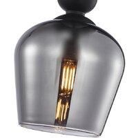 Подвесная люстра F-Promo 4353-1P
