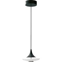 Подвесная люстра Favourite Wilet 4656-1P