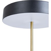 Настольная лампа Arte Lamp Elnath A5038LT-3BK
