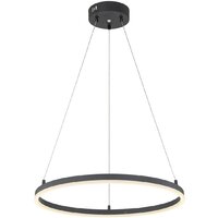 Подвесная люстра Escada Void 10254/1LED (Black APP)