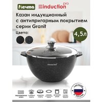 Казан Мечта Гранит 54802И (черный)