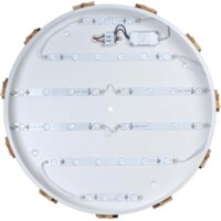 Светильник-тарелка LOFT IT Axel 10006/36 White