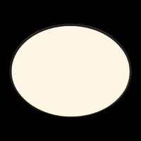 Припотолочная люстра LOFT IT Brim 10226 (черный)