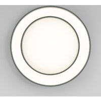 Припотолочная люстра Евросвет 90331/2 серый