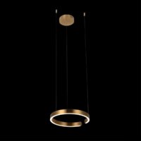 Подвесная люстра LOFT IT Ring 10013S