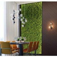 Подвесная люстра Odeon Light Tovi 4818/6