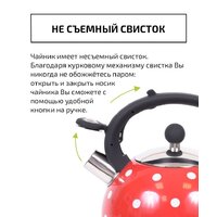 Чайник со свистком TimA WTK241C