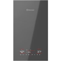 Отопительный котел Thermex Antares F24