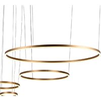 Подвесная люстра LOFT IT Ring 10017/4M