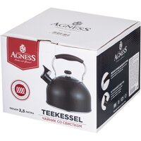 Чайник со свистком Agness Teekessel 937-908