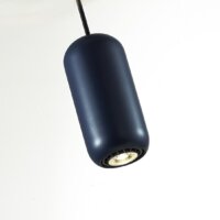 Подвесная люстра Odeon Light Cocoon 5060/1C