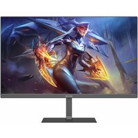 Монитор ELSA EA251Q