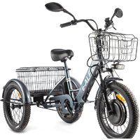 Электровелосипед Eltreco Green City e-ALFA Trike 2022 (темно-серый)