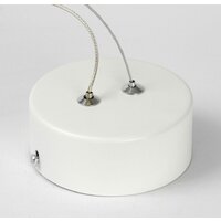 Подвесная люстра Lussole Aberdeen LSP-7085