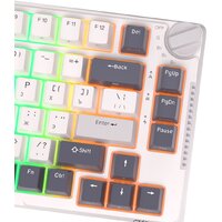 Клавиатура Royal Kludge RK-H81 RGB White Night (RK Brown)