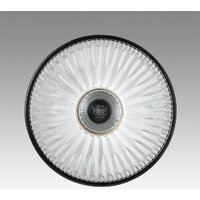 Подвесная люстра Lumion Natana 8053/1А