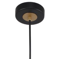 Подвесная люстра F-Promo Rigor 2844-1P