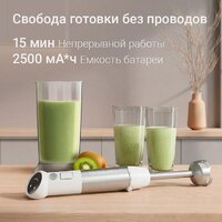 Погружной блендер Redmond (Редмонд) BH440