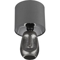 Настольная лампа Lumion Akivi 8147/1T