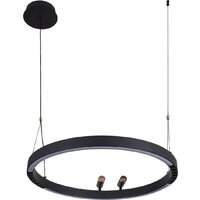 Подвесная люстра F-Promo Slinga 4474-1P