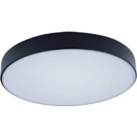 Светильник-тарелка LOFT IT Axel 10002/24 Black