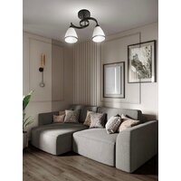 Припотолочная люстра Aitin Pro НПБ 02-2x60-101 7600/2 (черный)