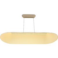 Подвесная люстра ST Luce SL3001.813.01