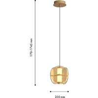 Подвесная люстра Favourite Fada 4624-1P