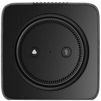 Умная колонка Яндекс Станция Макс (с хабом умного дома Zigbee, графит)
