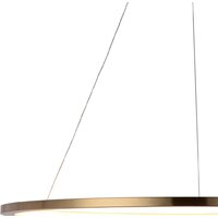 Подвесная люстра LOFT IT Ring 10014XL