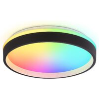 Припотолочная люстра Ambrella light Orbital FZ604 BK/GD (черный/золото)