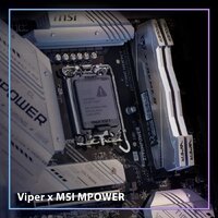 Оперативная память Patriot Viper Xtreme 5 2x24ГБ DDR5 8000 МГц PVXR548G80C38KM