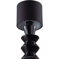 Настольная лампа Lumion Segi 8133/1T