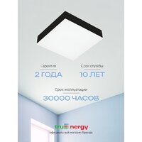 Припотолочная люстра TruEnergy 11170