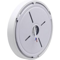 Светильник TruEnergy Aura 11152