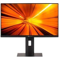 Моноблок ТЕСЛА P24BP 2416500