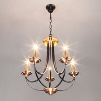 Подвесная люстра Евросвет 60098/5 (Black)