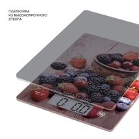 Кухонные весы Galaxy Line GL2819