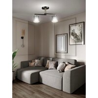 Припотолочная люстра Aitin Pro НПБ 02-2x60-101 N6787/2 (черный/медь)