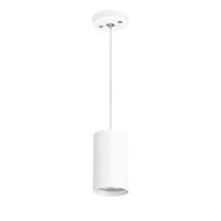 Подвесная люстра Lightstar Rullo RP436
