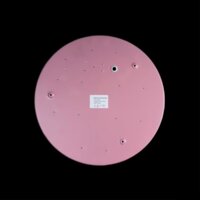 Светильник-тарелка LOFT IT Axel 10002/24 Pink