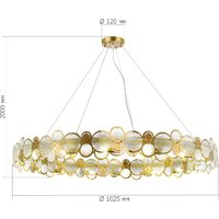 Подвесная люстра ST Luce SL6133.303.16