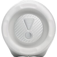 Беспроводная колонка JBL Charge 6 (белый)
