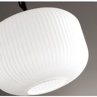 Подвесная люстра Odeon Light Roofi 4753/1