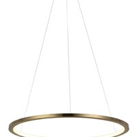 Подвесная люстра LOFT IT Ring 10014M