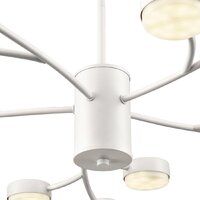 Подвесная люстра Lumion Torina 8265/15